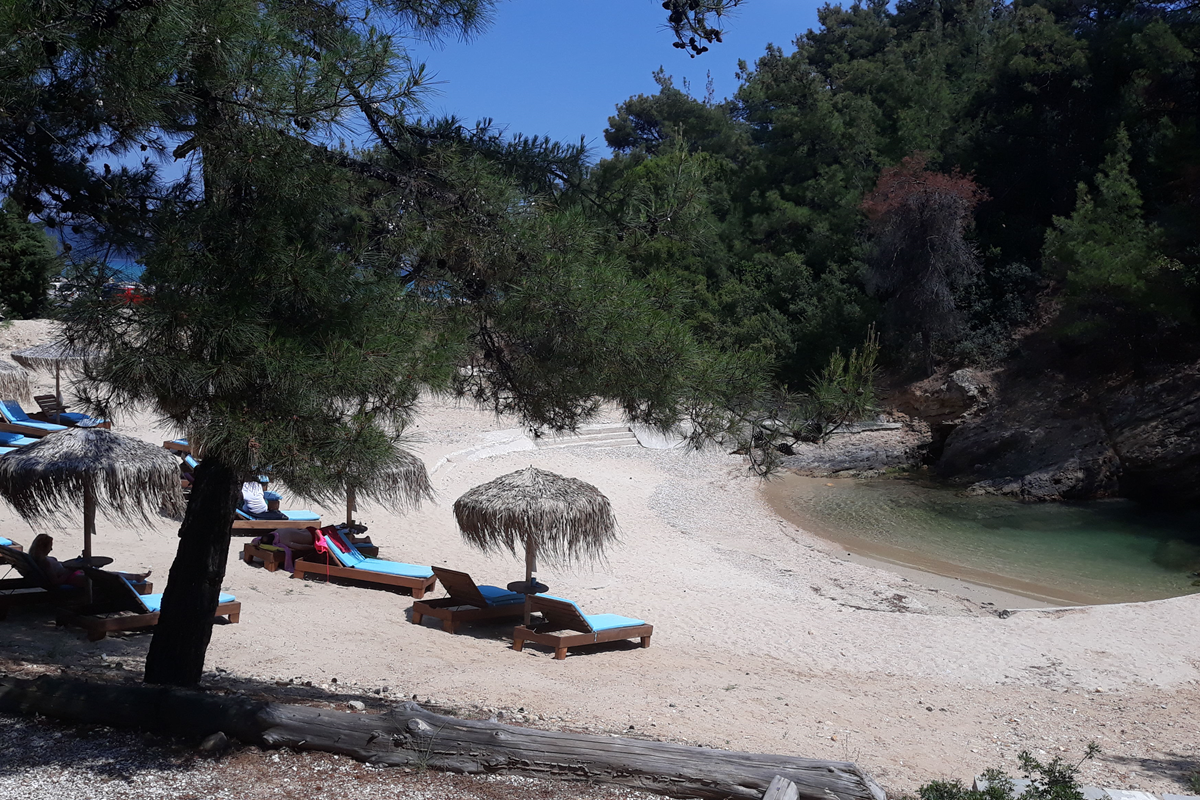 IMG-20190610-WA0011